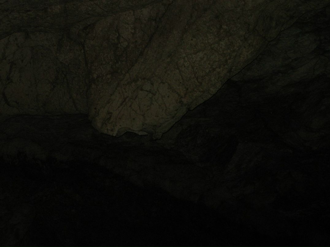 Дмитрий Амелин фотография #26