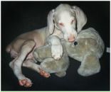 Фотография Мулюкиной Киры