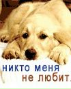 Юрій Романко фотография #36 (источник - https://vk.com/id71376054)