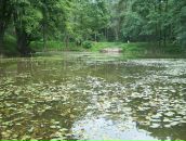 Віталій Карпенко фотография #17 (источник - https://vk.com/id86719783)