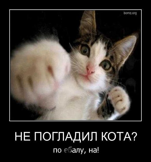 Игорь Гаращенко фотография #33