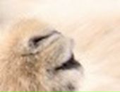 Крістіна Шавронська фотография #21 (источник - https://vk.com/id96115393)