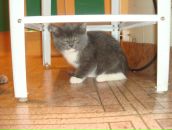 Фотография Рязанцевой Евгении