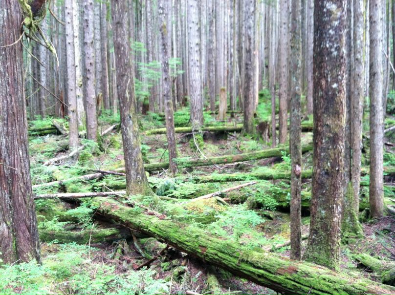 Федор Гончар фото №27