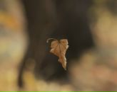 Фотография Титовой Марии