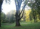 Наталія Васильченко фотография #33 (источник - https://vk.com/id22668075)