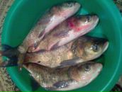 Віталій Лоцко фотография #4 (источник - https://vk.com/id27947505)