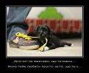 Людмила Яніцька фотография #46 (источник - https://vk.com/id54413497)