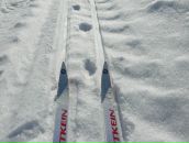 Фотография Коренковой-Бардиной Танечки