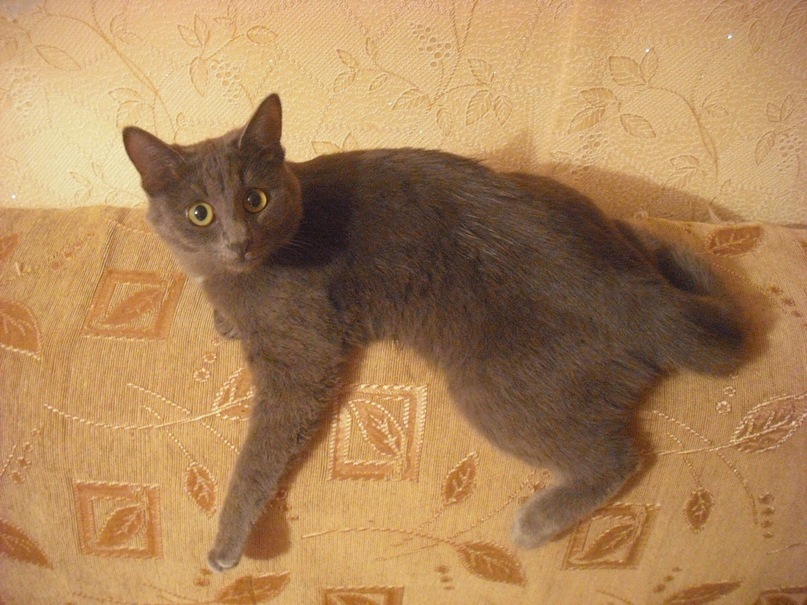 Ефим Бунин фотография #8