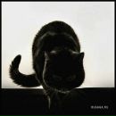 Фотография Yeremina Natalie