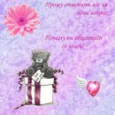 Сашунечка:) Дрозд фотография #25 (источник - https://vk.com/id83322451)
