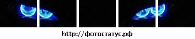 Діма Рустевич фотография #18 (источник - https://vk.com/id48196642)