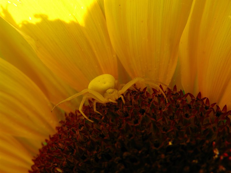 Сергей Есипенко фотография #19