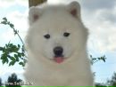 Іруська Юр фотография #22 (источник - https://vk.com/id189674644)