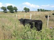 Фотография Фадеевой Марии