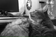 Фотография Ведякиной Веры