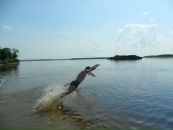Фотография Мартынова Валерия