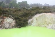 Александр Онищенко фотография #15 (источник - https://vk.com/id1753660)