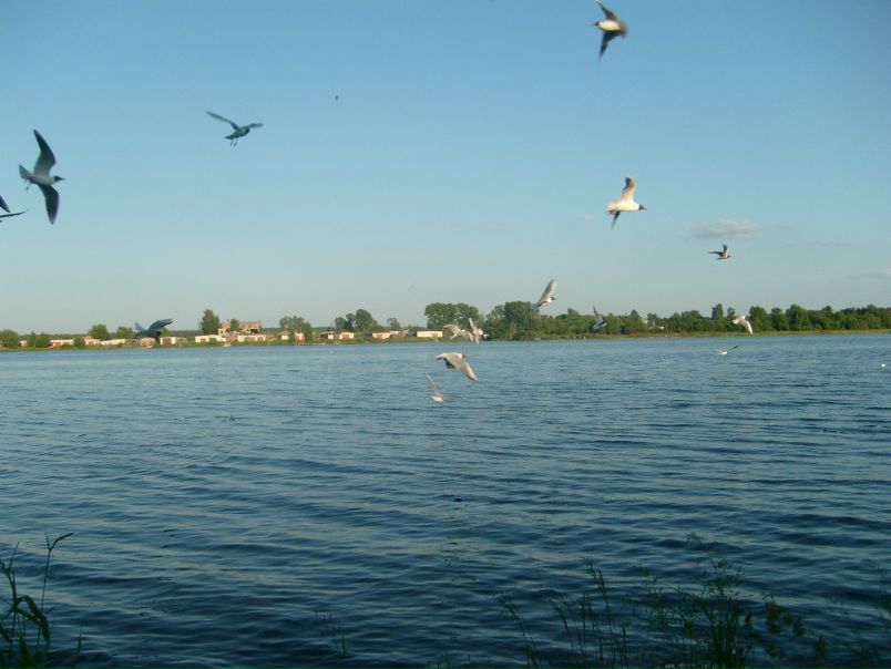 Иван Иванов фото №1