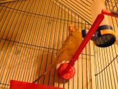 Фотография Дианова Владислава