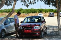 Андрей Костенко фотография #30 (источник - https://vk.com/id2692279)