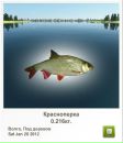 Дімон Мойпанюк фотография #4 (источник - https://vk.com/id116589529)