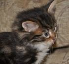 Фотография Амирханова Руслана