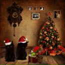 Славік Мазурець фотография #31 (источник - https://vk.com/id142964025)