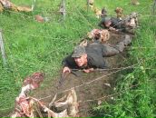 Віталік Кирлик фотография #37 (источник - https://vk.com/id26136621)