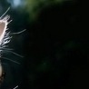 Артьом1к Твойласкавийзайка!!!!!====== фотография #27 (источник - https://vk.com/id147648234)