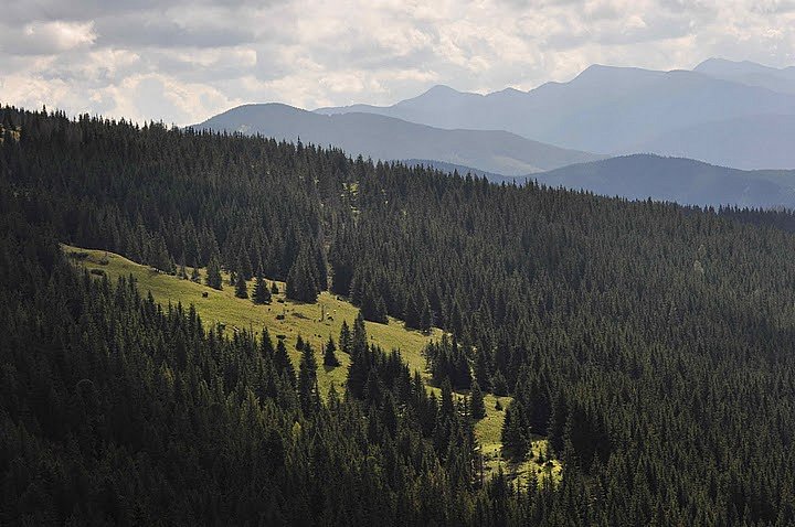 Sergey Vosmirko фотография #24