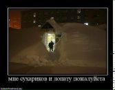 Дима Шелест фотография #50 (источник - https://vk.com/id21900923)