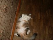 Фотография Сакович Маргарита