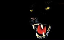 Фотография Стасовой Ксении