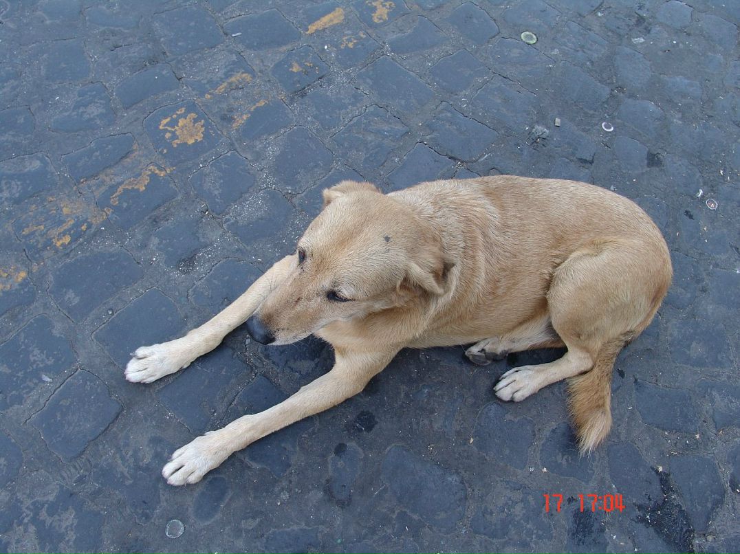 Денис Горбатенков фотография #47