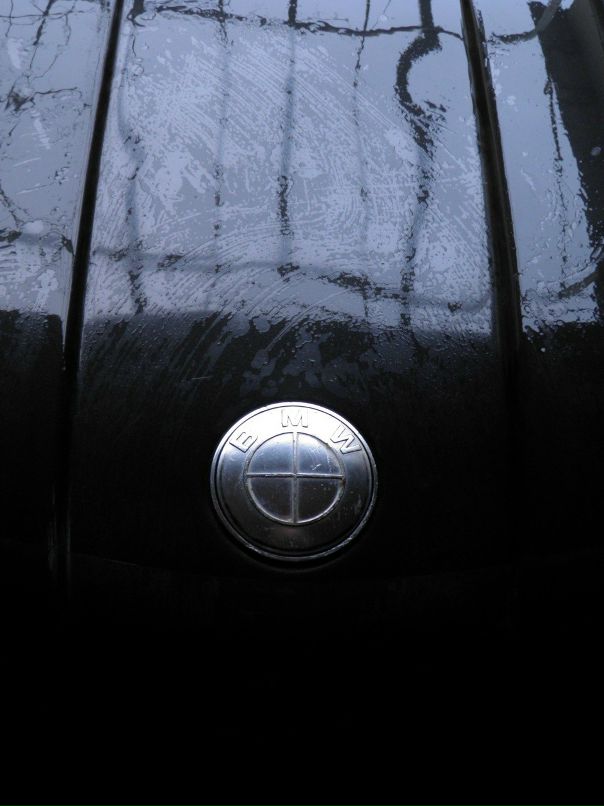 Сашка Лоренц фотография #41