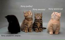 Фотография Большаковой Марии
