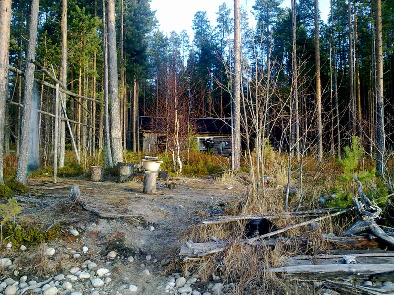 Сергей Михайлов фотография #10