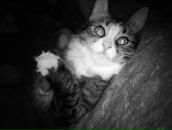 Фотография Дубенский Денис