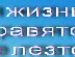 Юлія Кравченко фотография #10 (источник - https://vk.com/id62732977)