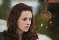 Любчик Плаксій фотография #38 (источник - https://vk.com/id43594789)