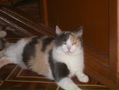 Фотография Кузнецовой Валерии