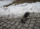 Андрій Соловко фотография #25 (источник - https://vk.com/id141739242)
