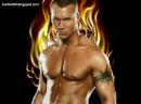 Randy Orton фотография #3 (источник - https://vk.com/id159784435)