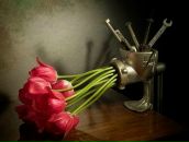 Дарья Моо фотография #21 (источник - https://vk.com/id2348127)