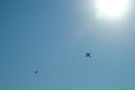 Фотография Звягиной Татьяны