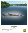 Ігор Крупела фотография #13 (источник - https://vk.com/id83319063)