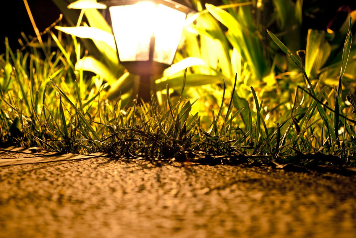 Дмитрий Арефьев фотография #49