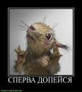 Фотография Галактионова Ильи